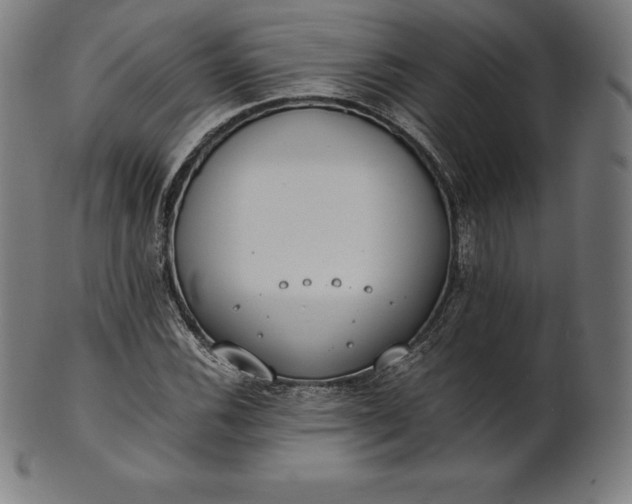 X0000101191116200807110938