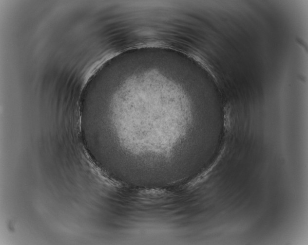 X0000101191117200807110938