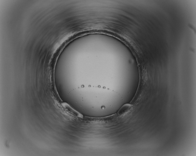 X0000101191118200807110938