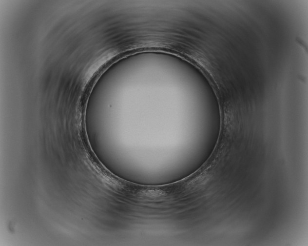 X0000101191119200807110938