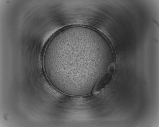 X0000101191120200807110938