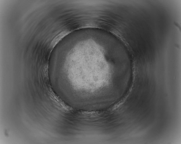 X0000101191121200807110938