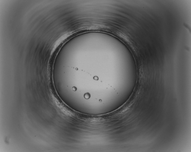 X0000101191122200807110938