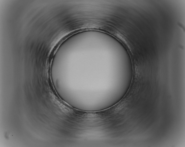 X0000101191124200807110938