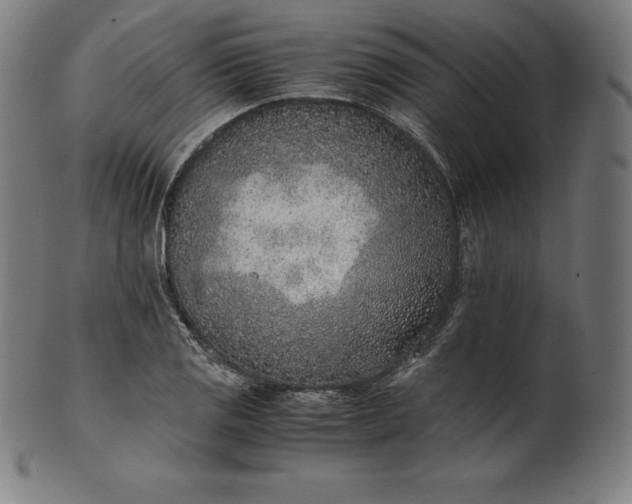 X0000101191125200807110938