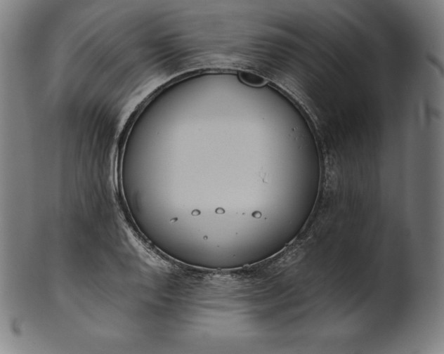 X0000101191128200807110938