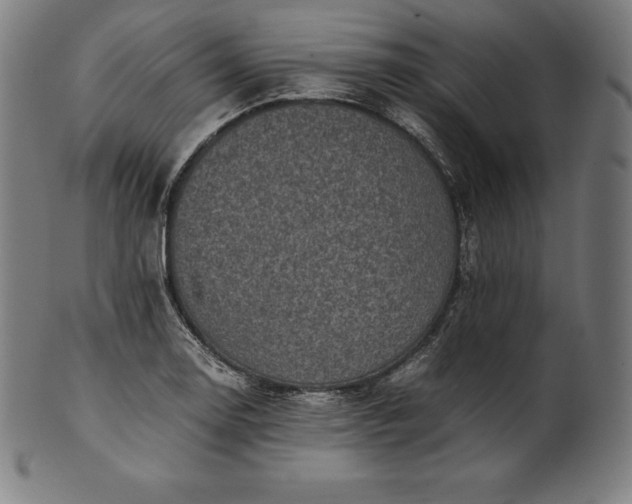 X0000101191130200807110938
