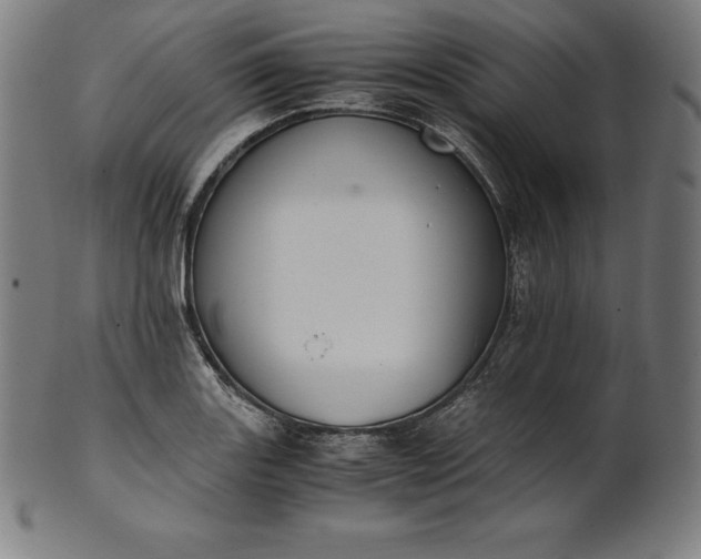 X0000101191131200807110938