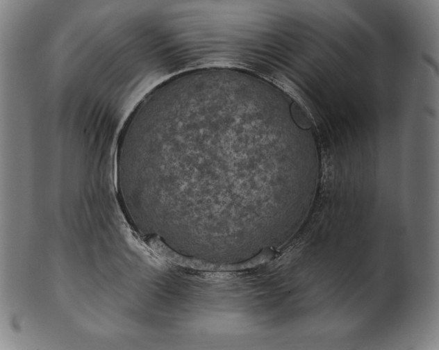 X0000101191132200807110938
