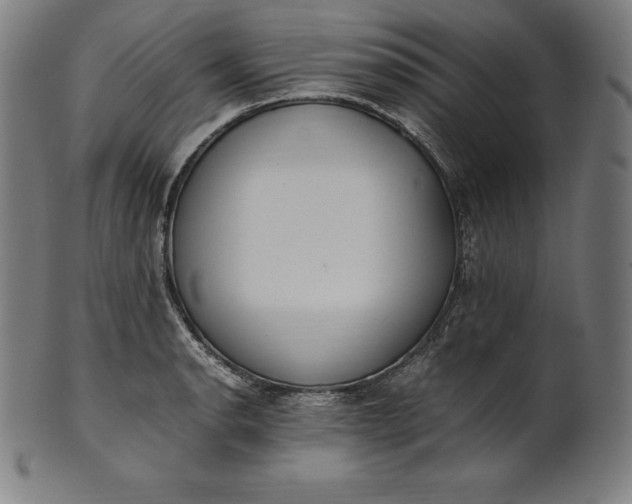 X0000101191134200807110938