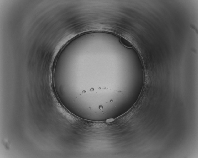 X0000101191136200807110938
