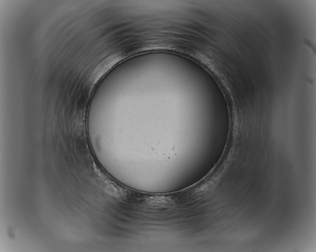 X0000101191137200807110938