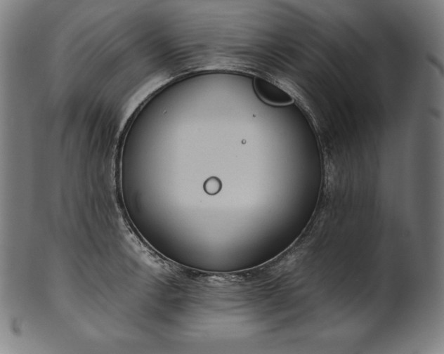 X0000101191138200807110938