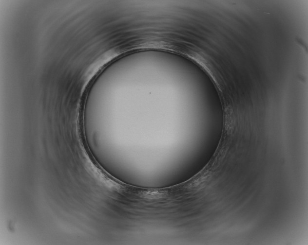 X0000101191139200807110938