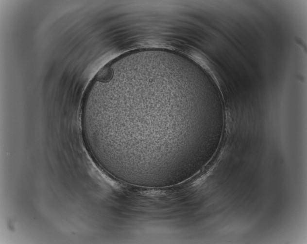 X0000101191141200807110938