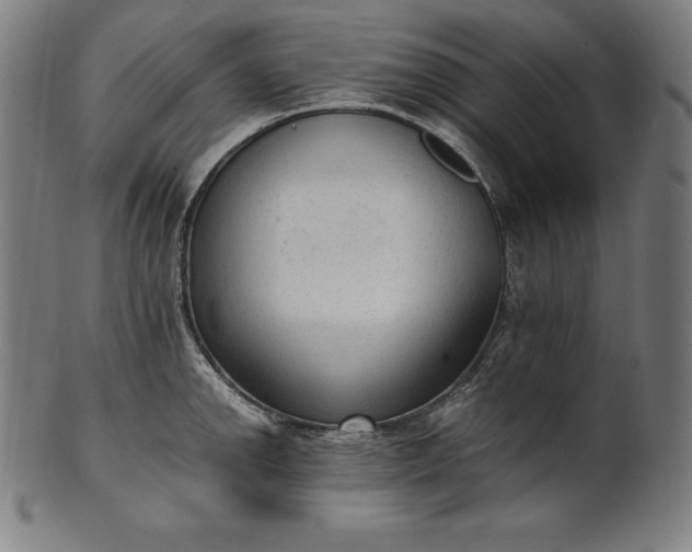 X0000101191142200807110938