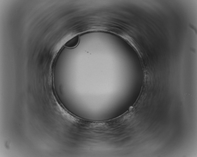 X0000101191143200807110938