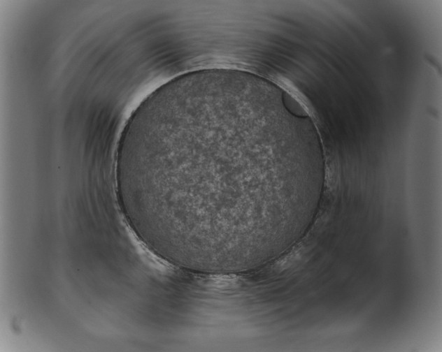 X0000101191144200807110938
