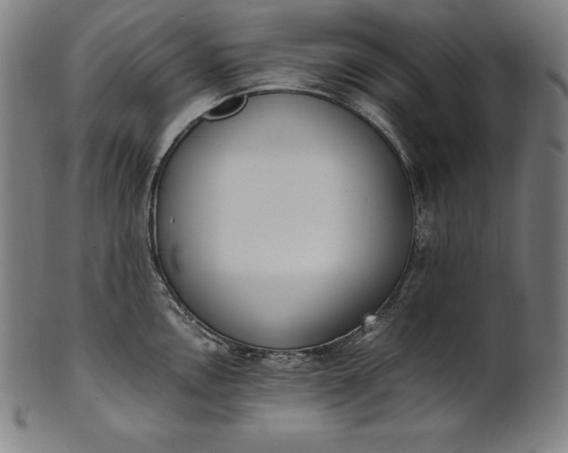 X0000101191146200807110938