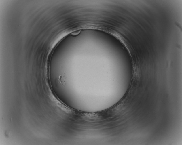 X0000101191147200807110938