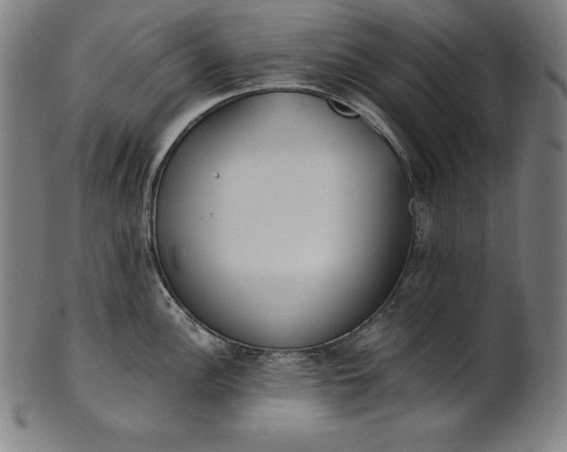 X0000101191148200807110938