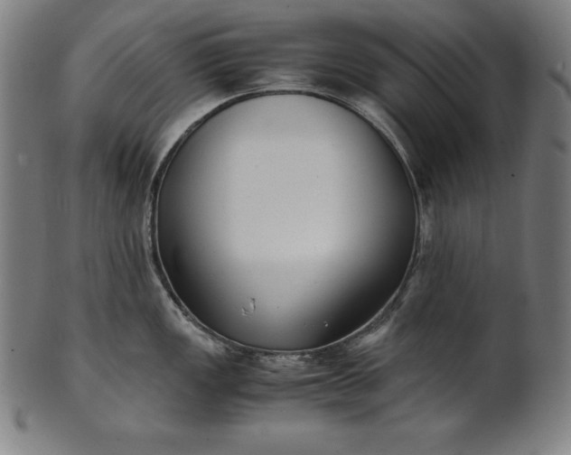 X0000101191149200807110938