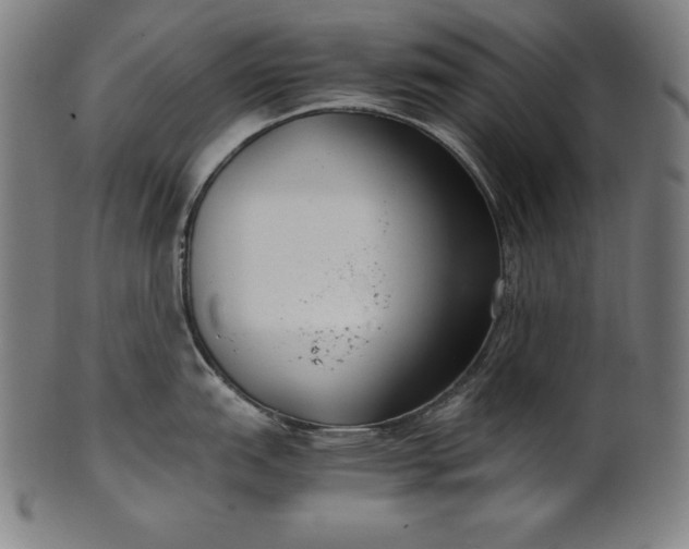 X0000101191151200807110938
