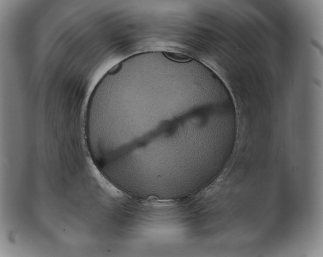X0000101191152200807110938