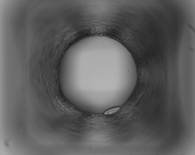 X0000101191153200807110938