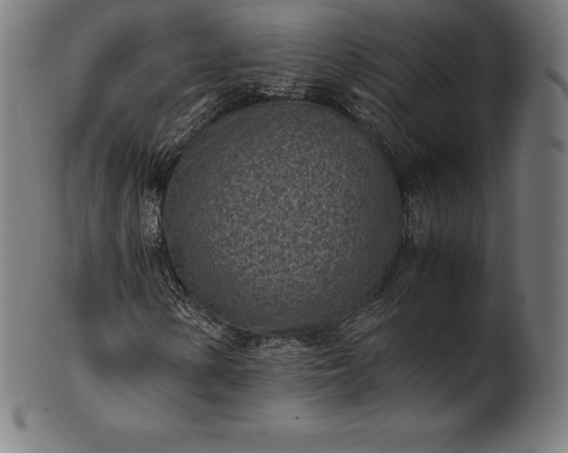 X0000101191154200807110938