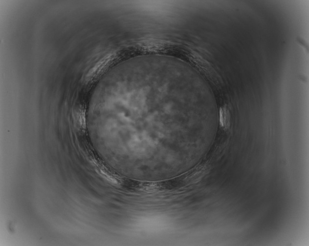 X0000101191155200807110938