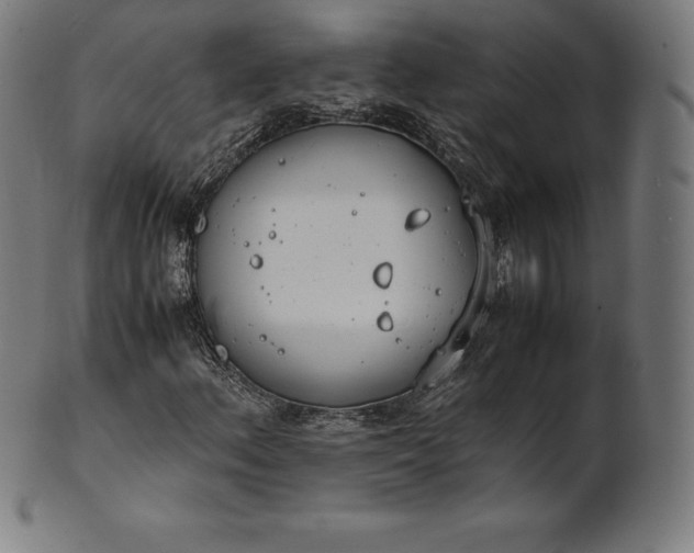 X0000101191156200807110938