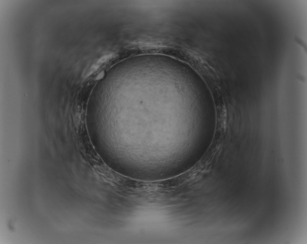 X0000101191157200807110938