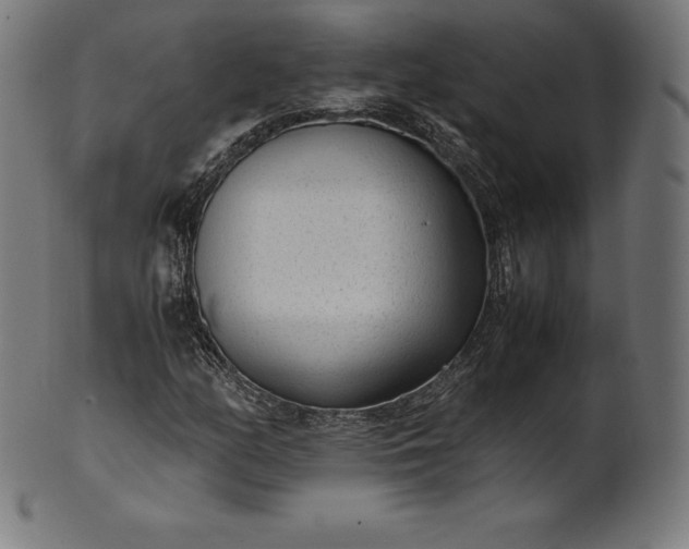 X0000101191158200807110938