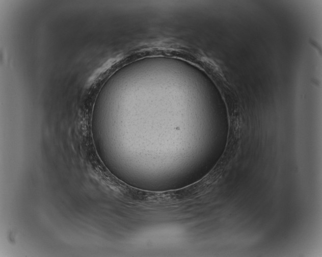 X0000101191159200807110938