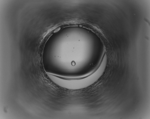 X0000101191160200807110938