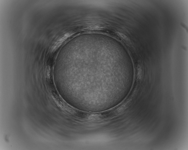 X0000101191161200807110938