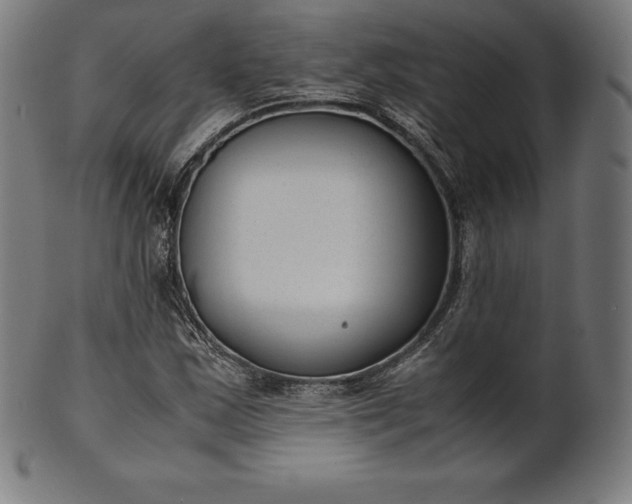 X0000101191163200807110938