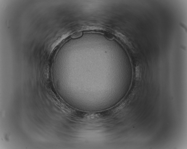 X0000101191165200807110938