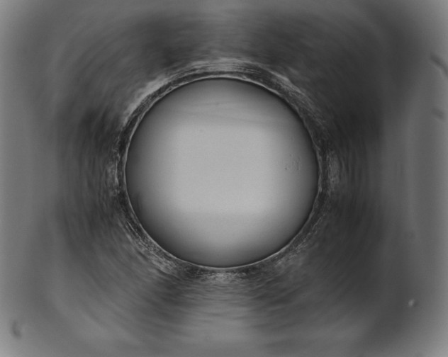 X0000101191166200807110938