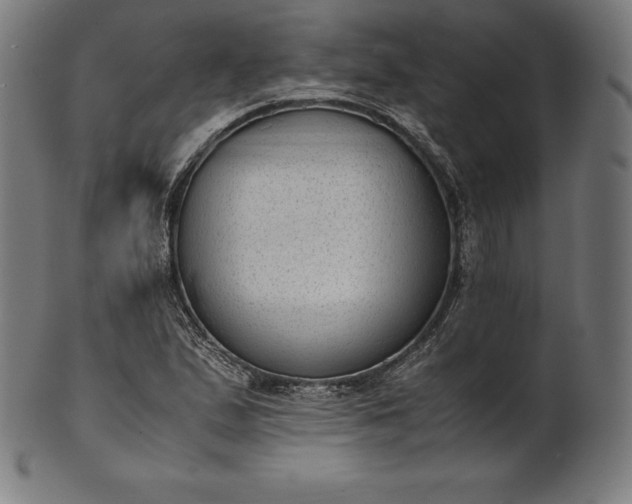 X0000101191167200807110938