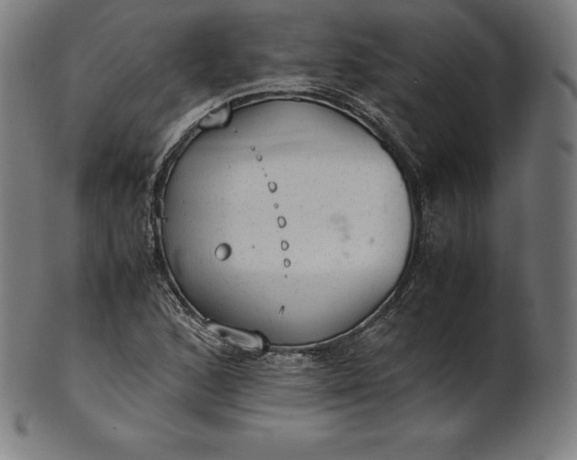 X0000101191168200807110938