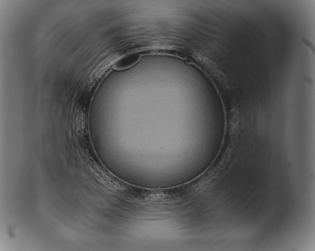 X0000101191169200807110938