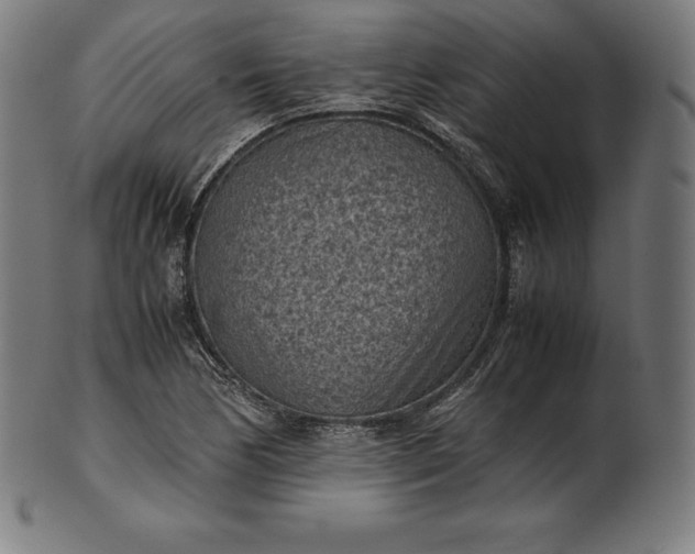 X0000101191170200807110938
