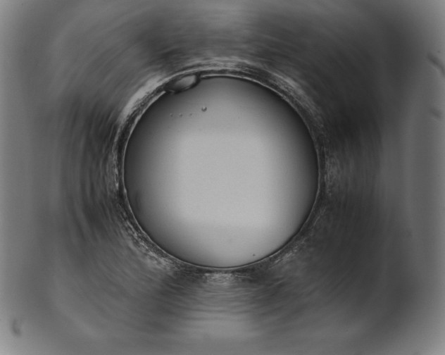 X0000101191172200807110938