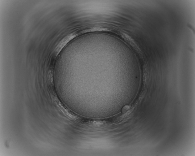 X0000101191177200807110937