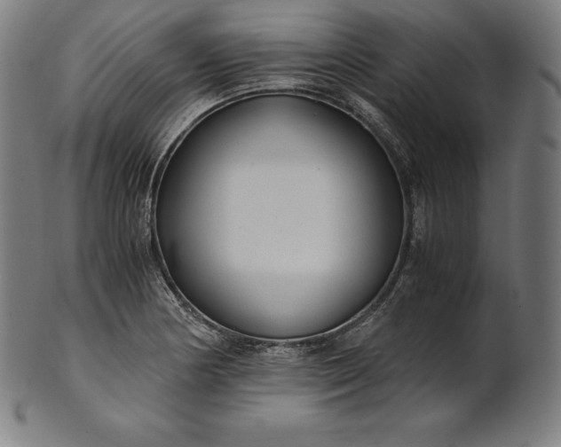 X0000101191178200807110937