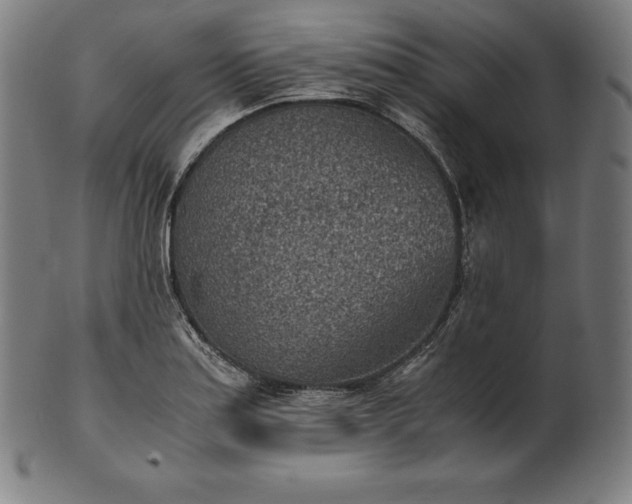 X0000101191179200807110937