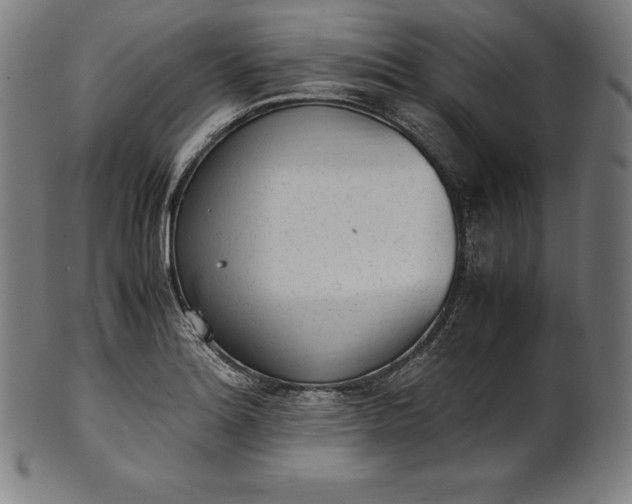 X0000101191180200807110937