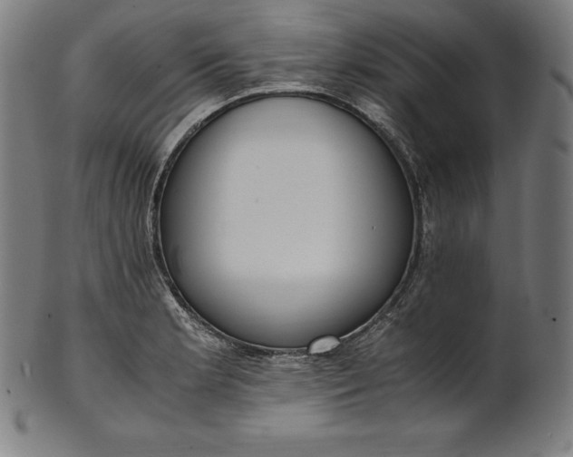 X0000101191181200807110937
